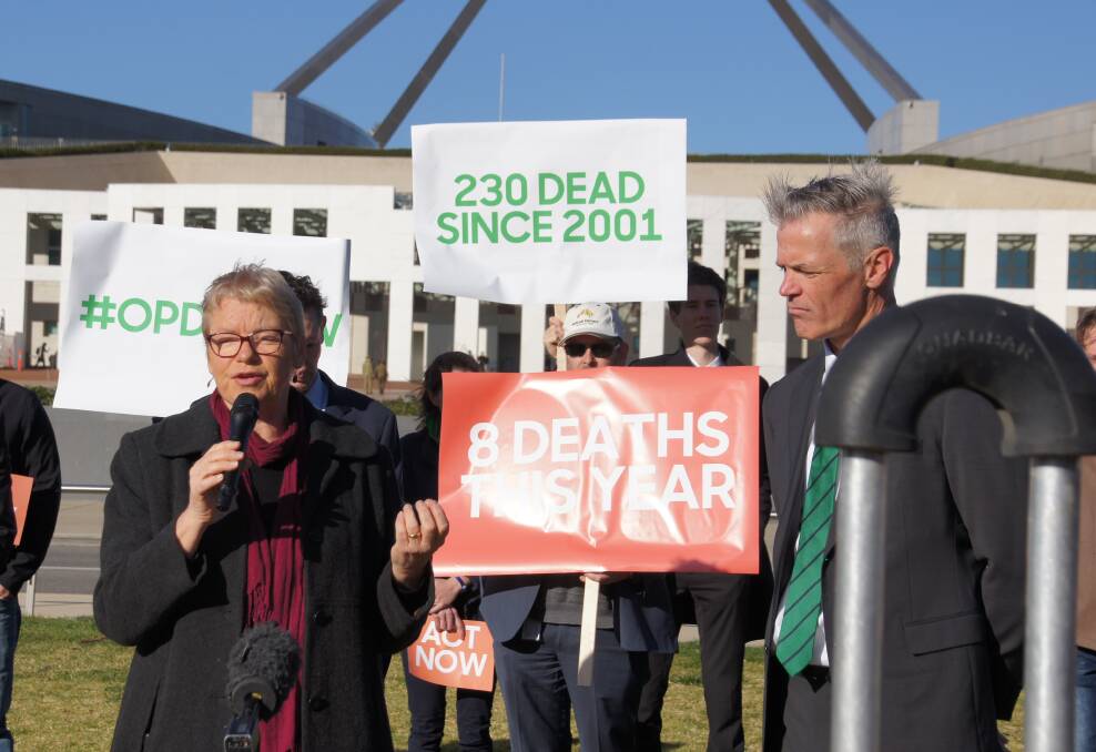 Greens agriculture spokeswoman Janet Rice at a quad bike safety campaign on the lawns of Parliament House. "There is such a simple solution and we know it will save lives. We need to act because there are people dying unnecessarily," Senator Rice said.