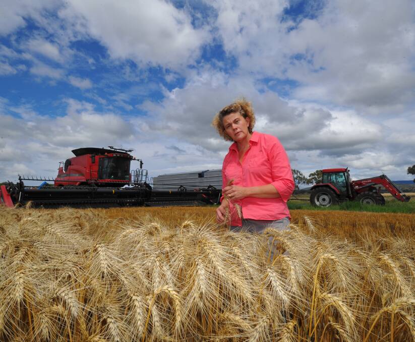 Natoinal Farmers' Federation president Fiona Simson says partisan politics has thrown the Basin Plan into "disarray".