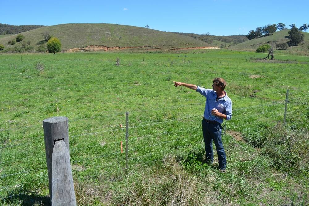 Mulloon Creek Natural Farms covers 23,000ha, spanning one entire catchment of the Shoalhaven River located in NSW's Southern Tablelands.