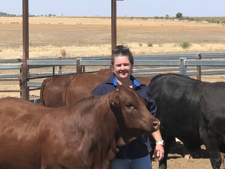 "They want a martyr for their cause." Queensland feedlot owner Sherrill Stivano, Roma, is furious at having details of her feedlot operation revealed on the Aussie Farms website.