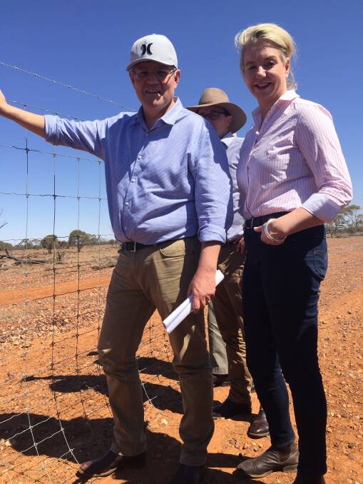 Prime Minister Scott Morrison and Agriculture Minister Bridget McKenzie during a trip to Quilpie last year.