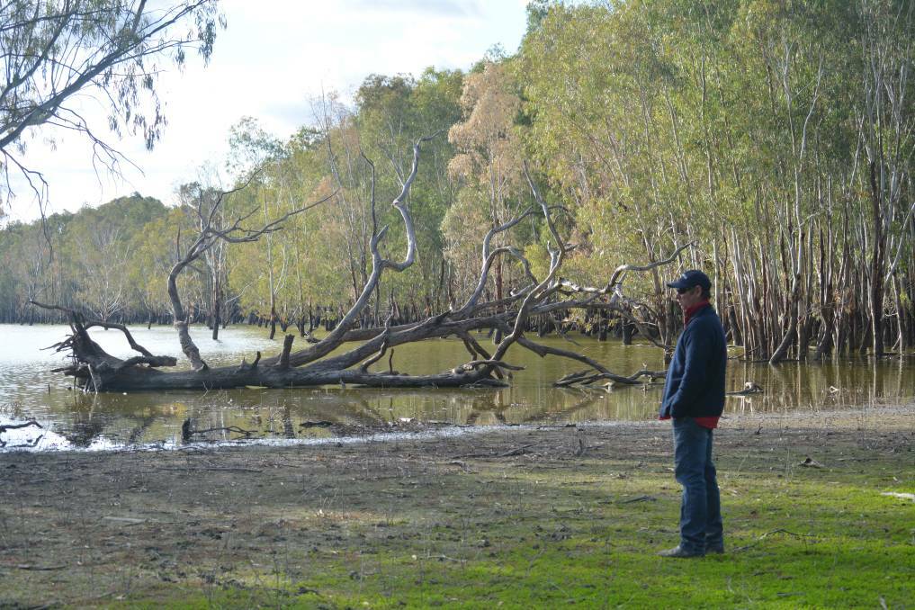 Wine maker gives Murray wetland a drink with Commonwealth water