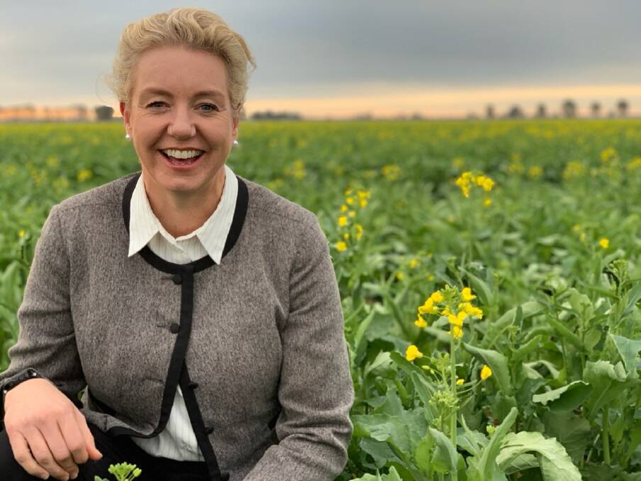 Keen defender: Agriculture Minister Bridget McKenzie will use science to support ag's social licence.
