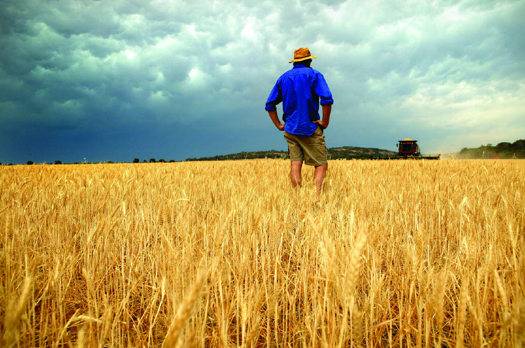 Australian climate research is at risk of falling behind, threatening farm sector competitiveness, scientists warn. Photo by Louise Kennerley.