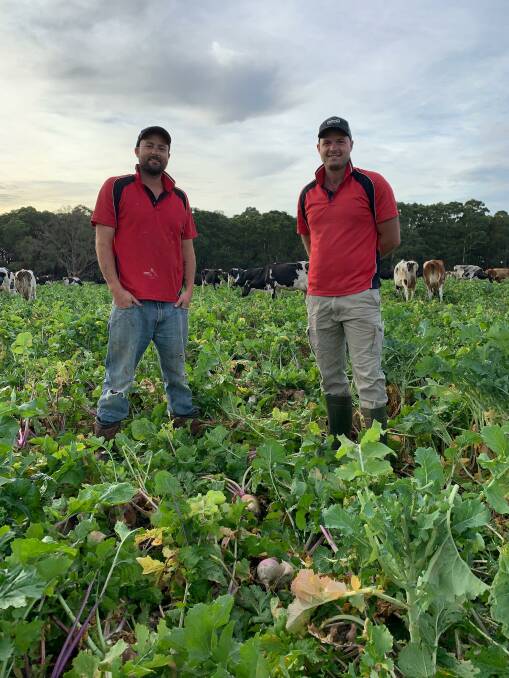 IN THE MIX: Sowing multi-species 'salad bowl' pasture mixes is being trialed by Sam, left, and Peter Doolan as they strive for soil improvement, diversity of the biosphere and higher animal production and health.