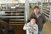 Herd conversion uses Black Simmental to boost calf size