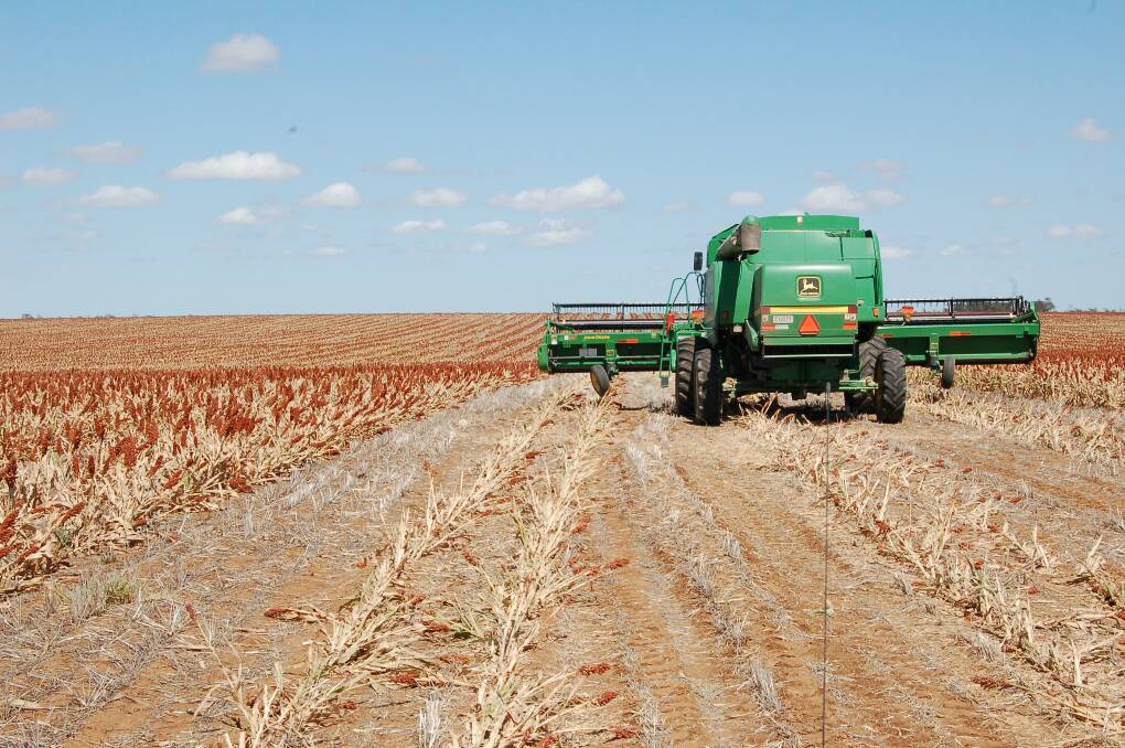 Sorghum harvest is expected to get underway in parts of Queensland but variable weather conditions have created an uncertain outlook.