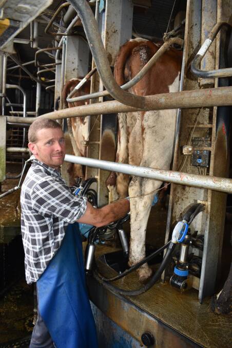 ONE MAN: Milking time in the 40-unit rotary is a one man job for Paul Riches.