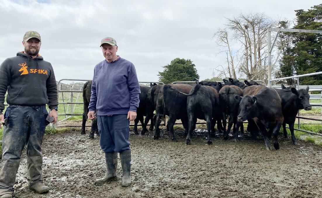 QUALITY BEEF: Nathan Hooper and his father Michael with some of the Angus heifers they sold at Mortlake last Thursday.