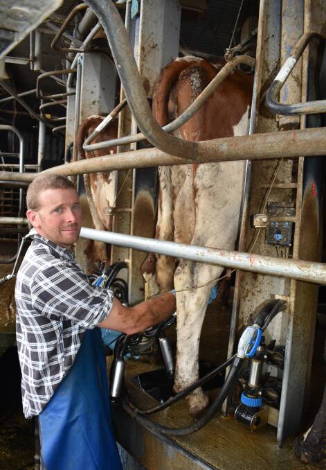MILKING: The Sisters dairy farmer Paul Riches says the Woolworths' decision doesn't make a lot of difference to his business and has other plans to improve cash flow.