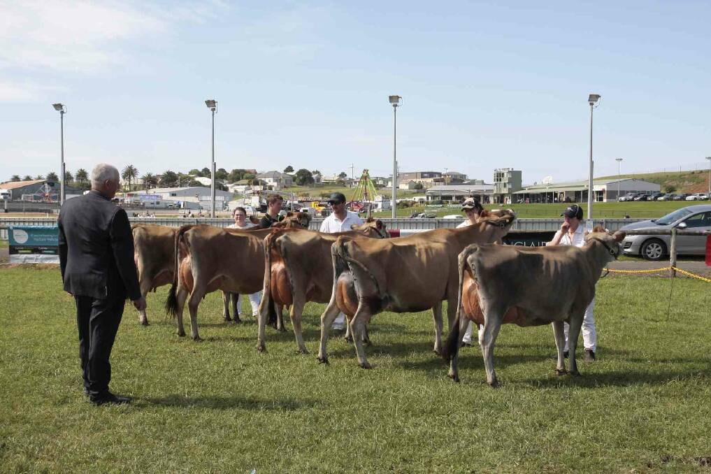 GONE: The dairy section of the Warrnambool Show has been dropped for 2019. Warrnambool Agricultural Society president Jason Callaway said there was not enough manpower to run the exhibit. 
