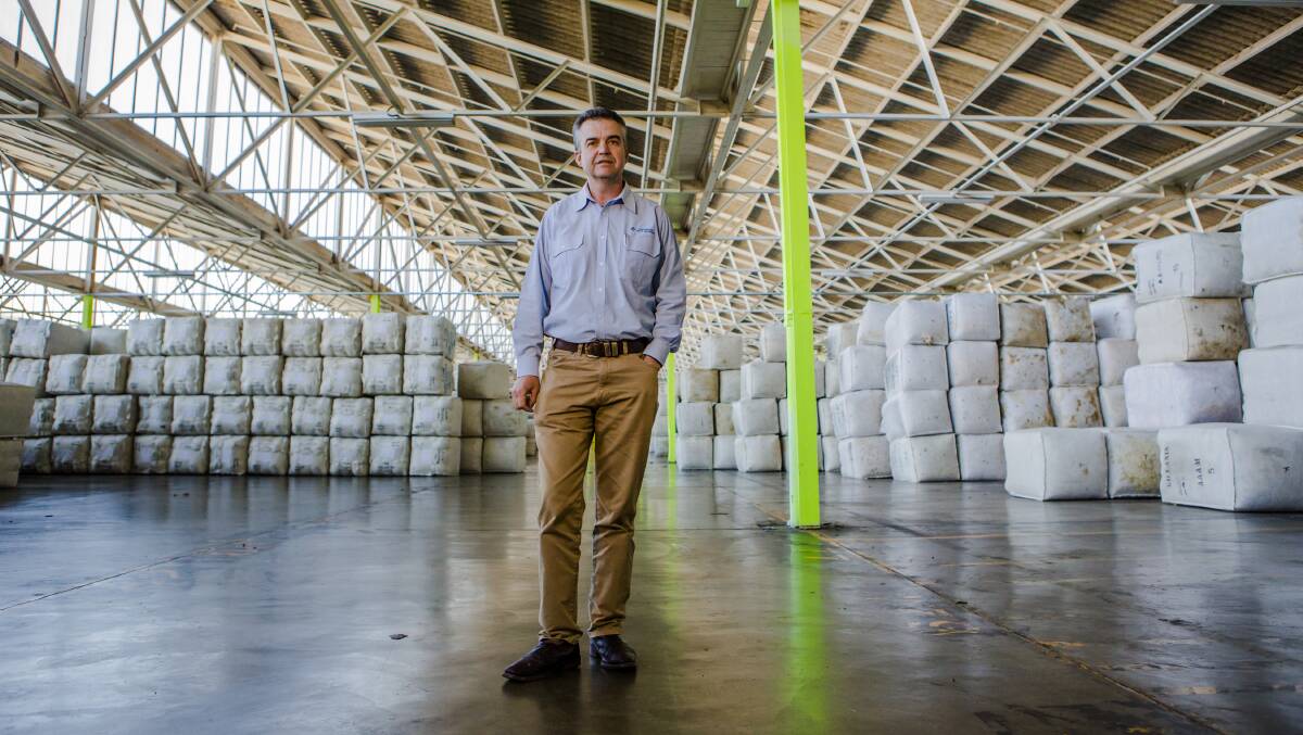 Australian Wool Network NSW and Queensland manager Mark Hedley said the decrease in wool production was not a huge positive for the market. Photo by Jamila Toderas.