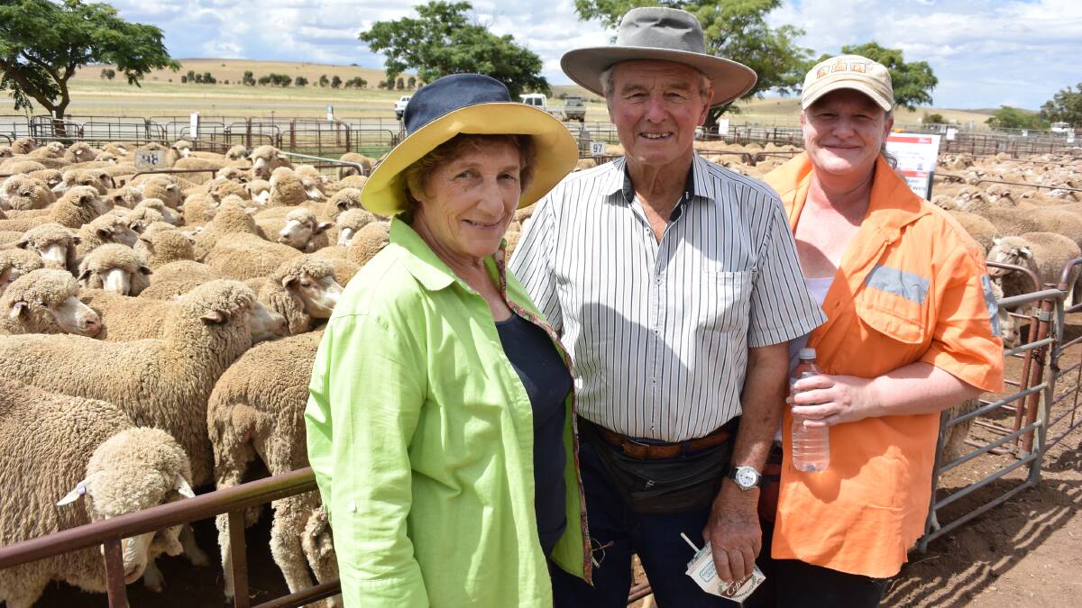 COMPLETE DISPERSAL: Pam, John and Naomi Staker, Whyte Yarcowie, SA, offered all of their flock at the Jamestown, SA, market last week. 