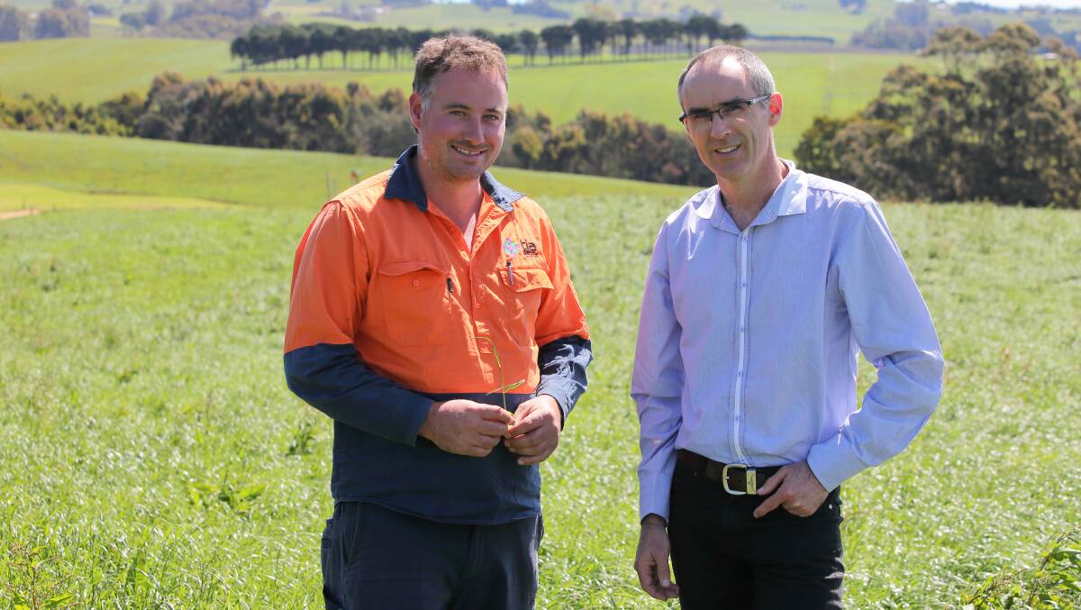 Tasmanian Institute of Agriculture dairy farm manager Bradley Millhouse and dairy leader James Hills.