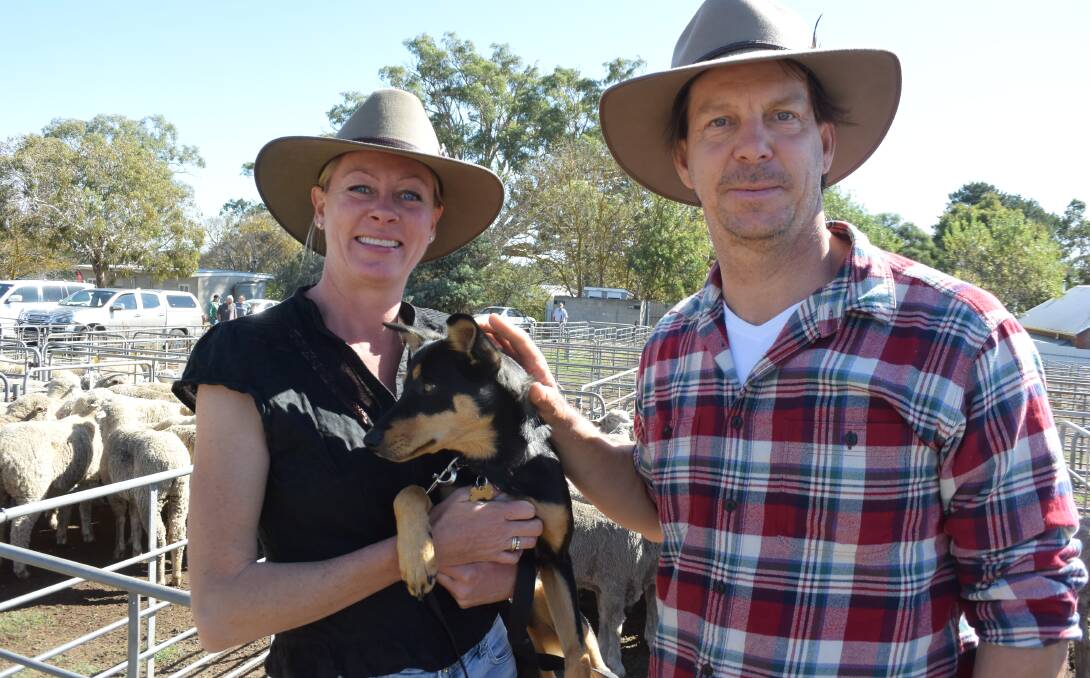 LOCALS ATTEND: Kate Eccles and Josh Gee, Springton, SA, with Indie, paced the pens at Mount Pleasant, SA, last week. 