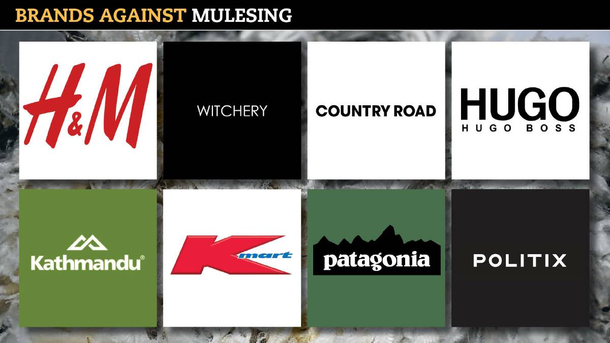 A whopping 185 fashion brands, including those pictured above, have come out against the practice of mulesing.