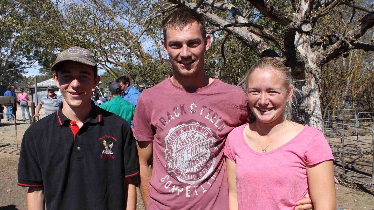 LAMB LOTS: Thomas Hicks with Brad Gabell and Brie Harvey, all from Jervois, SA. Ms Harvey was selling Black Suffolk wether lambs at the Mount Pleasant, SA, sheep market.