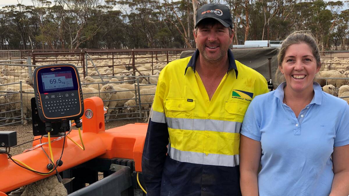 Western Australian Merino breeders Craig and Anna-Lisa Newman, Karradale, Varley, have decided to test their flock after again after having success the first time.
