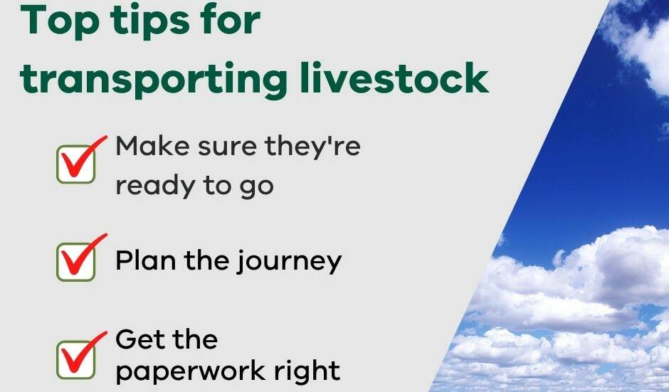 Agriculture Victoria has launched a new website which details the livestock transport process.