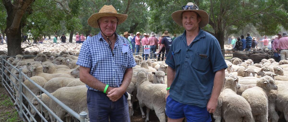 BUYERS: Walter and Bill Raynolds, Braidwood, NSW, bought this pen of 200 Merino ewes for $306 a head at Deniliquin, NSW, last week.