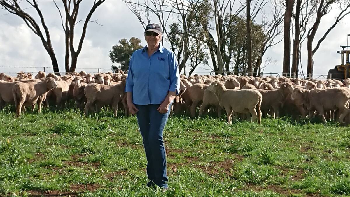 Illabo, NSW, wool grower Beverley Norman trialed the e-Bale tags at her recent shearing.