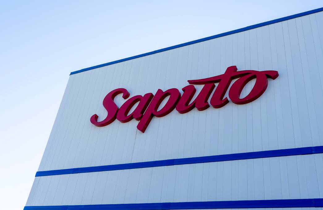 Saputo has announced its eagerly-awaited opening milk price. File picture