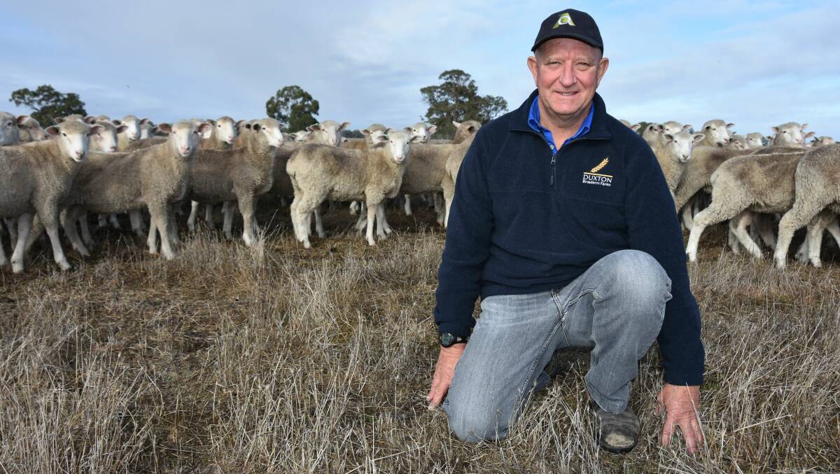 Naracoorte, SA, sheep producer Martin Flower says copper deficient pastures could be silently robbing wool growers and lamb producers of valuable yield.