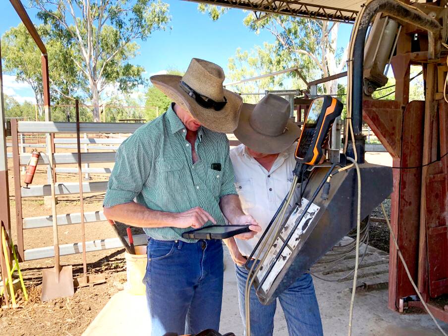Based in Toowoomba, Queensland, Elynx offers a suite of innovative livestock management software systems for cattle producers in Australia and overseas. Picture supplied
