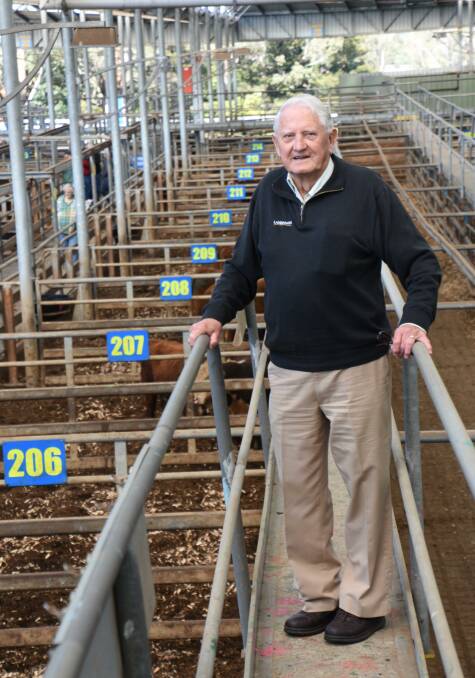 ICON: Kevin Morgan is an icon at Gippsland's livestock markets. The 82-year-old continues to enjoy a full book of clients, some of them spanning five generations of the same family.