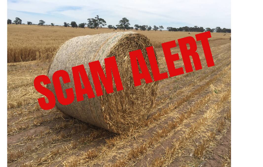 Police pounce on hay scams