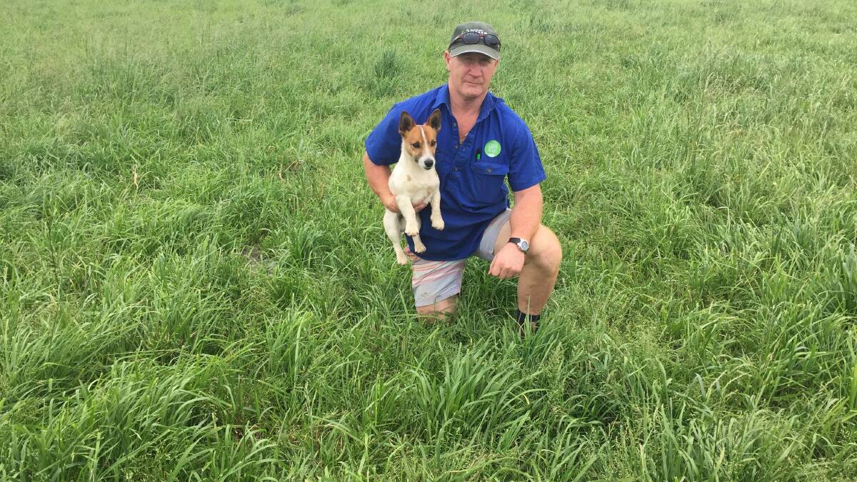 READY TO GO: Mr Davis and his dog Ivan on the dairy farm near Cobden. This Hummer tall fescue pasture is at its best in spring and summer, when it can be ready for regrazing after only 12 or 13 days.