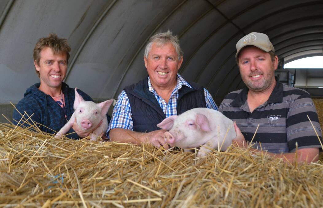 LOOKING AHEAD: Wild Horse Plains pork producers Heath, Lindsay and Luke Walker have weathered the storm of fluctuating pork prices. 