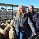OPTIMISTIC APPROACH: Robertstown producers Tracey and Gavin Rodda are riding the storm of market volatility and selling runs of lambs at Dublin in staggered offerings. 