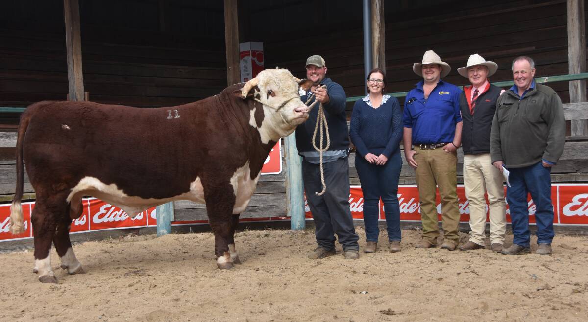 Top price $14,000 Hereford Supple Naked with Supple stud principals Ben and Leanne Rumbel, Ashley Estcourt, Nunniong Herefords, Omeo, Victoria, Elders agent Andrew Meara and new owner Bluey Commins, Ensay, Victoria 