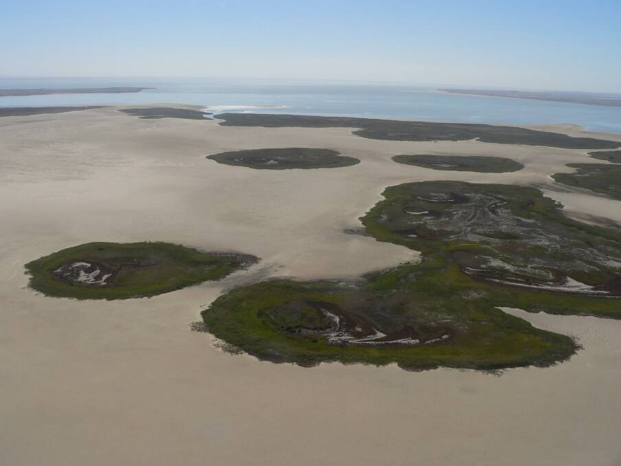 The islands were surrounded by sand, rather than the fresh water of the river, during the Millennium Drought.