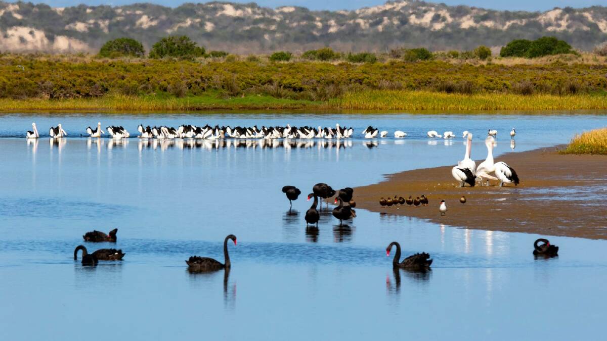 Mundoo is home to an array of birdlife. PHOTO: Sally Grundy.