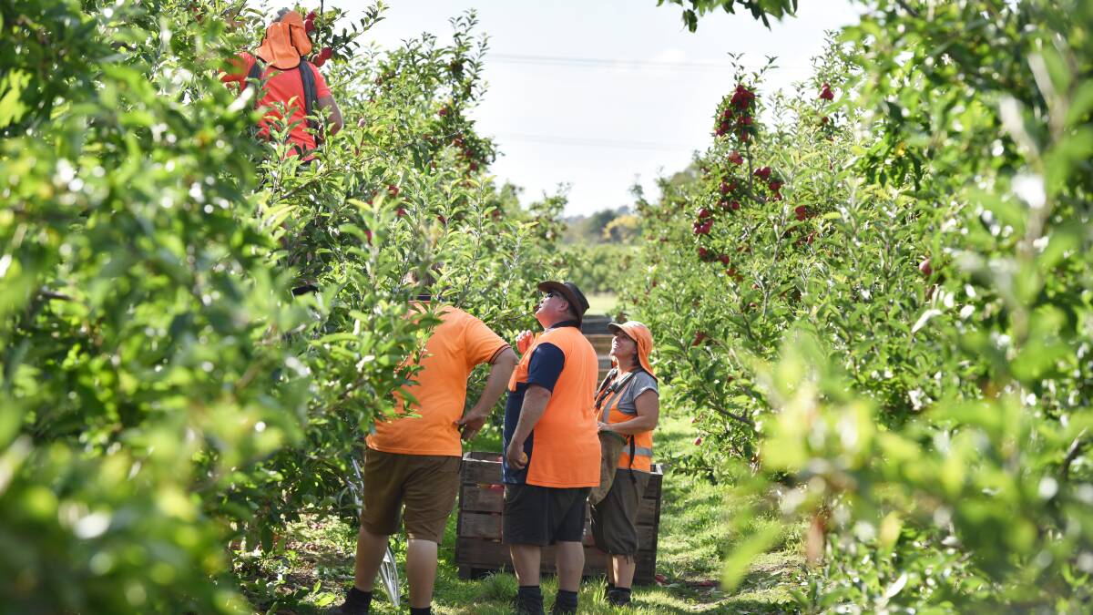 Hort Council pitches 10-point worker approach
