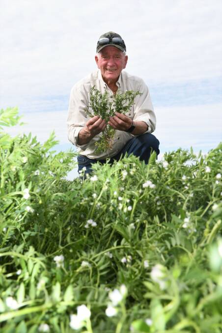 John Lush, Mallala, SA, says lentil crops in his area look the goods, but will need spring rain to fulfil potential. Photo by Quinton McCallum.