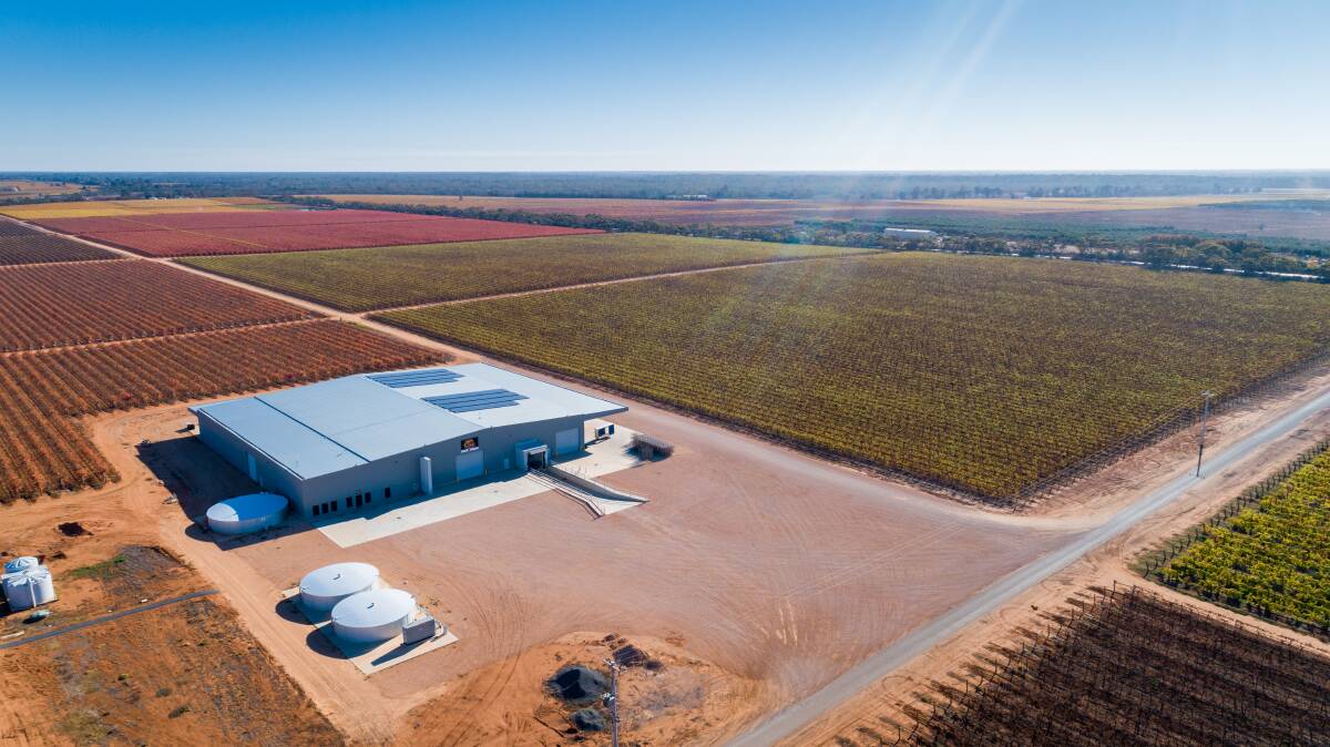 Easing the pressure: The new Entegra shed was a key part of the Olive Grove Fruits expansion strategy. Picture: Supplied 