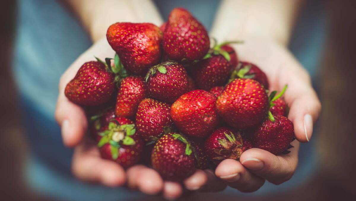 After the effort of growing fresh produce don't let inferior and unsustainable packaging affect its quality and market success. Picture Artur Rutkowski on Unsplash 