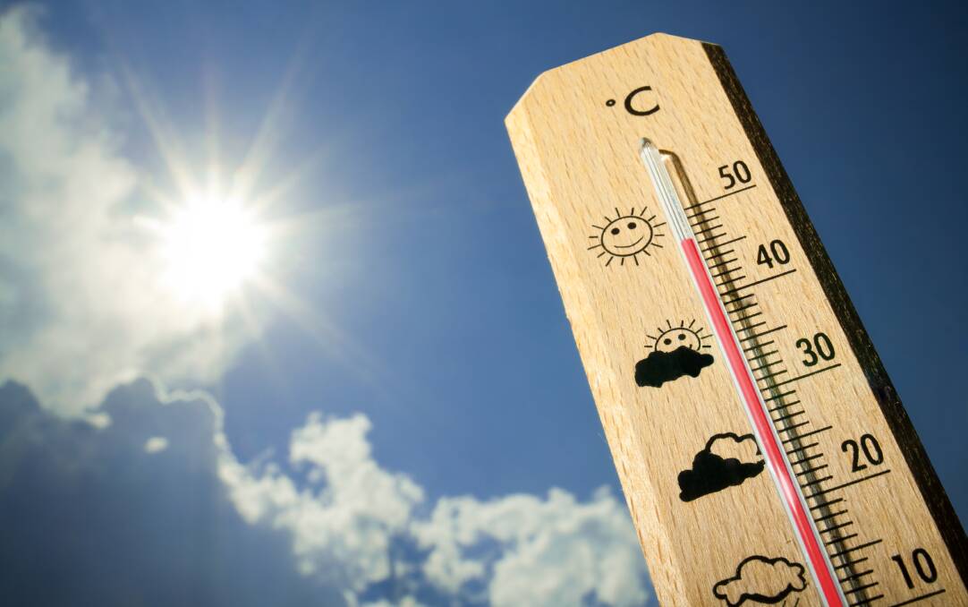 Shade materials can screen out intense sunlight and buffer crops against recurrent weather shocks, Picture Shutterstock 