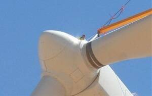 SA puts foot down on Myponga/Sellicks Hill Wind Farm plan