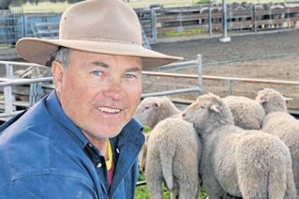 Don Mudford, “Parkdale”, Dubbo, with some of his experimental short tail Merino flock.