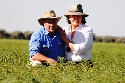 Ian and Gail Buss with the crop of Pistol planted on their Golden Triangle property.