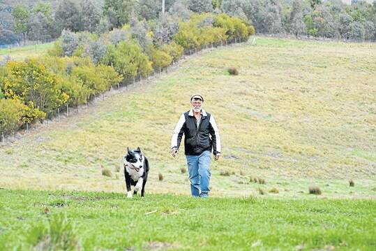 Yass grazier, John Ive, has discovered the benefits of fencing and grazing according to aspect, after implementing a 12-point farm plan initiated more than 30 years ago. 