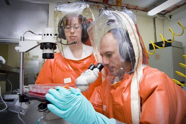 Scientists must work at BSL4 when working with live viruses that are harmful to people and there is no known cure, such as Hendra virus, SARS and Ebola. Image: CSIRO.