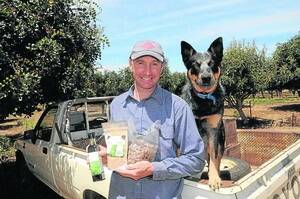 Australian Carob Co founder and owner Michael Jolley, Booborowie.