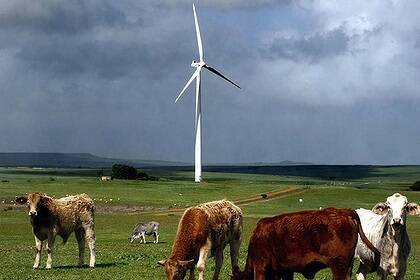 Climate alliance challenges wind farm claims