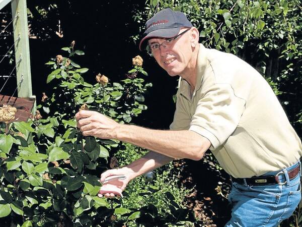 Craig Montgomery tending his beloved roses in 2007.