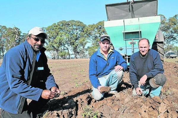 Victorian researcher Renick Peries with Phil and Peter Schinckel, Kybybolite, who have one of the Enhancing Soil Health in the South East of SA demonstration sites on their property. They are trialling the use of subsoil manuring to reduce water logging and lift yields.